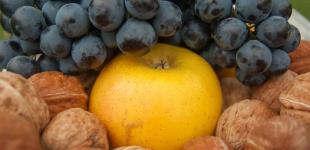 Украина побила рекорд по экспорту орехов и фруктов