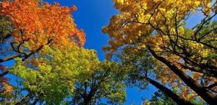 Похолодание отменяется. Какой будет погода в Украине в ближайшие две недели