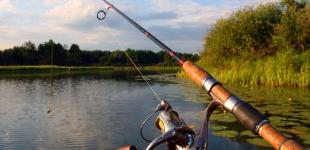 Як я оновив снасті для фідерної рибалки у магазині FishingROI.ua