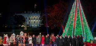 Стало известно, почему погасла главная елка США 