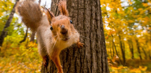После ночных морозов придет потепление до +18: какой будет погода в Украине до конца недели
