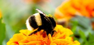 Синоптик предупредила о новом похолодании в мае в Украине 