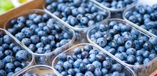 Журналисты купили на рынке Киева чернику с радиацией