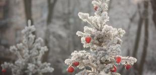 Синоптики на Рождество обещают до 14° мороза
