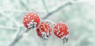 В Украину возвращаются лютые морозы