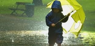 Дожди, град и шквалы: прогноз погоды в Украине на четверг, 10 июня