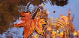 Украину накроет непогода: где пройдут дожди