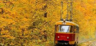 В Украину возвращаются дожди: синоптики назвали дату