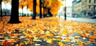 На початку тижня східні області України накриють дощі