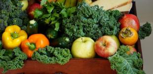 ТОП-10 продуктов с высоким содержанием магния