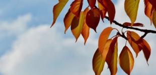 На выходных в Украине изменится погода – синоптик дала холодный прогноз