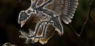 Палеонтологи виявили у Китаї птаха з головою динозавра