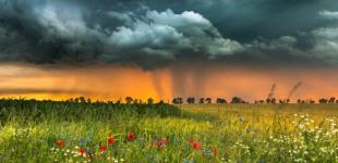 Ливни, град и шквалы. Спасатели предупредили об ухудшении погоды почти по всей Украине и в Киеве