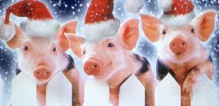 Январь-2019 будет теплее по показателям многолетних наблюдений