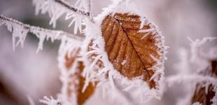 Небольшие снег и мороз. Синоптики дали прогноз погоды в Украине на начало недели