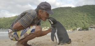 Что может президент, или Диндим возвращается