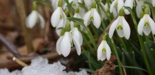 В Украину вернутся морозы и снег: в каких областях сильно испортится погода