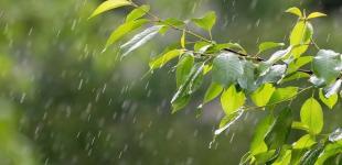 Погода в Украине: синоптик рассказала, где в ближайшие дни похолодает, а какие регионы накроет циклон