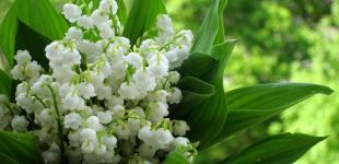 В Украину идет антициклон, который прогонит дожди