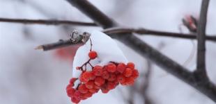 Декабрь начнется с похолодания