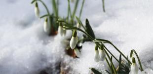 У Києві вдарять морози: прогноз погоди на тиждень