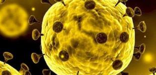 В Украине создали оперативный штаб по предотвращению коронавируса