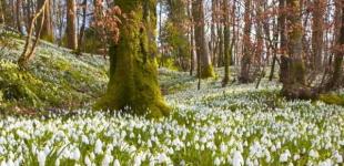 Весна в Украине будет поздней, с экстремальным 