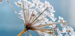 Резкое похолодание накроет Украину на следующей неделе: точная дата