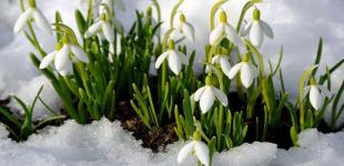 Українців попередили про сильні морози до -12°: де 17 березня буде холодніше