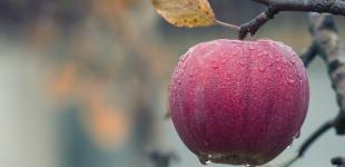 В Украине пройдут дожди, но будет все еще тепло