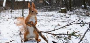 В Украину вернется тепло, но не везде: где ждать +12