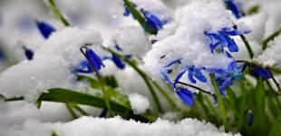 Весна не спешит: еще будет мокрый снег и морозы