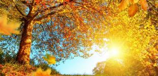 Погода на выходные: В Украине местами дожди, температура воздуха до +22