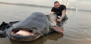 В Польше поймали 100-килограммового сома-гиганта