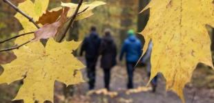 Воскресенье будет холодным: прогноз погоды в Украине на 10 октября