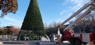 В Запорожье уже устанавливают новогоднюю елку