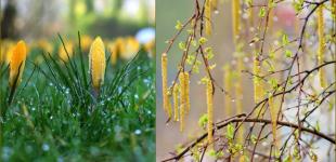 Синоптик рассказала, какие регионы охватят ливни и грозы