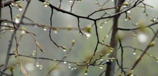 В Украине портится погода – местами небольшой дождь с мокрым снегом