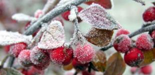 Осень уже хозяйничает в Украине с дождями и заморозками