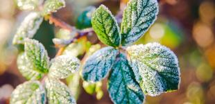 Морозы до -5°: появился свежий прогноз погоды в Украине на 10 октября