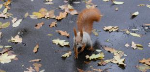 В Украину идут холода 