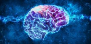 Что такое нейромаркетинг и для чего он нужен бизнесу