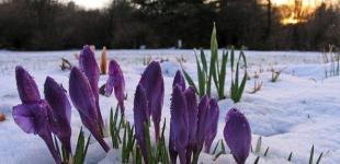 В Украине значительно потеплеет, местами до +16