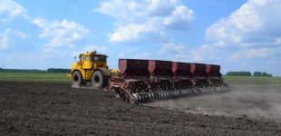 Україна зібрала рекордний в історії урожай зернових: що це означає для економіки