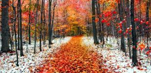 В Украину движется дневной 