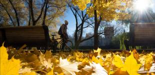 Погода в середине ноября по Украине: До 19 градусов тепла