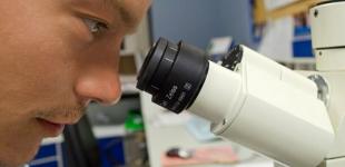 Супербактерии-убийцы добрались до Украины: врачи предупредили об опасности