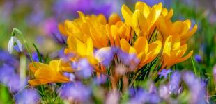 Весенняя погода. Синоптики прогнозируют резкое потепление в ближайшее время