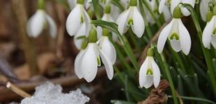 Резкое похолодание и весна в феврале: какая погода будет в Украине до конца зимы