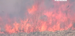 В Харьковской области за сутки произошло 86 пожаров
